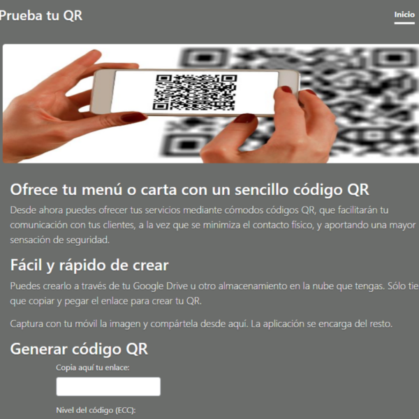 Detalle de web QR