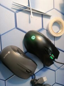 Mice preparados para una nueva temporada.