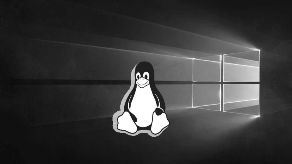 Tux frente a W10