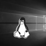 Tux frente a W10